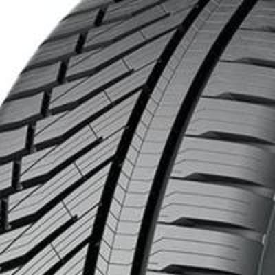 Falken EUROALL SEASON AS220 ( 195/55 R20 95H XL, VCe BLK )