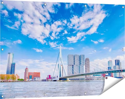 Gards Tuinposter Erasmusbrug aan het Water in Rotterdam - 120x80 cm - Tuindoek - Tuindecoratie - Wanddecoratie buiten - Tuinschilderij