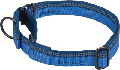 Reflecterende Nylon Anti-Ontsnapping Hondenhalsband - Comfortabel en Verstelbaar voor Nachtwandelingen - Klein (11"-14,5")