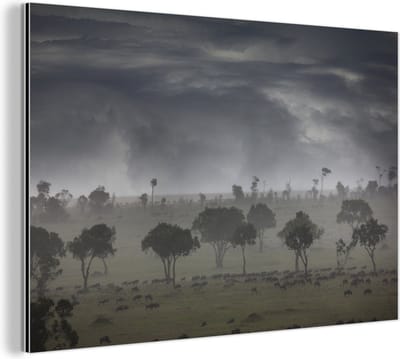 Aluminium schilderij 180x120 cm - Wanddecoratie metaal - Onweerswolken bij Masai Mara National Park in Kenia - Metalen muurdecoratie woonkamer - Decoratie industrieel - Foto op dibond - Industriële accessoires slaapkamer