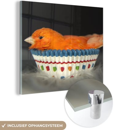 MuchoWow® Glasschilderij 50x50 cm - Schilderij acrylglas - Vogel - Cupcake vormpjes - Portret - Foto op glas - Schilderijen