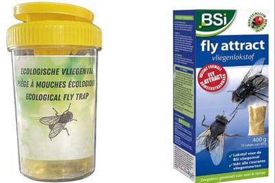Professionele vliegenval Probilife + vliegenlokstof 400gr (biologisch en ongevaarlijk!)