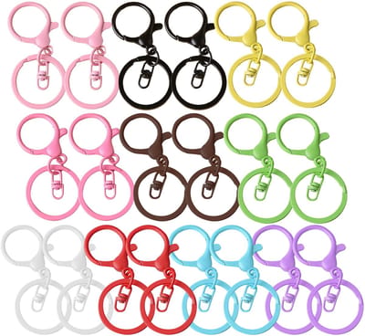 Dailygoods- Karabijnhaken 20 stuks - Sleutelhangers - Sleutellabels - Sleutelhanger Ringen - Sleutelhanger Maken - Zinklegering