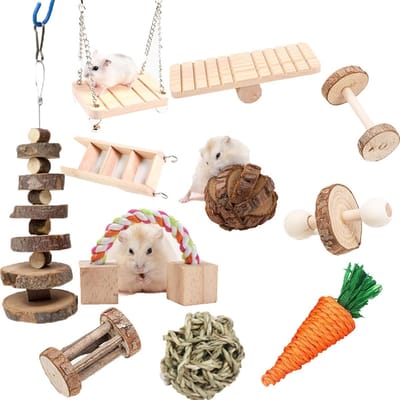 Knaagdier Kauwspeelgoed Set - Houten Speeltjes - Tanden Slijpen - 11 Delige Collectie - 15 x 10 x 8.5 cm