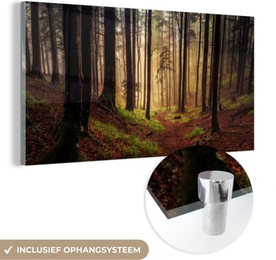 MuchoWow® Glasschilderij 40x20 cm - Schilderij acrylglas - Bomen - Natuur - Bos - Foto op glas - Schilderijen