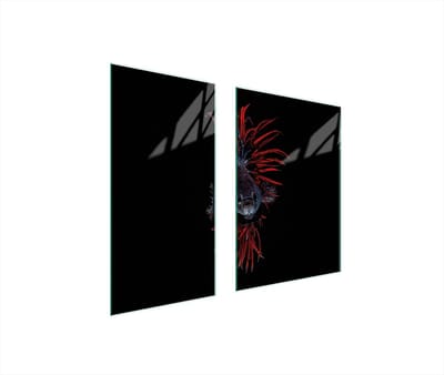 TMK ArtDeko Serie - Snijplank - 75x52 cm - Glas - Vis Motief