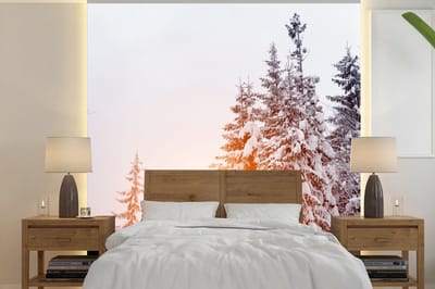 Behang - Fotobehang Zon - Bomen - Sneeuw - Breedte 240 cm x hoogte 240 cm
