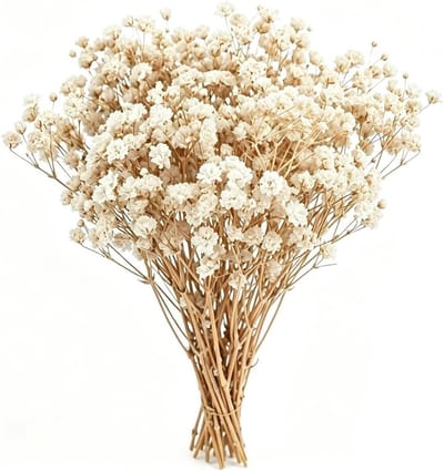 Decoratieve eeuwige gedroogde bloemen - 50 stuks voor zelfgemaakte creaties, foto-ramen, bladwijzers en duurzame huisdecoratie