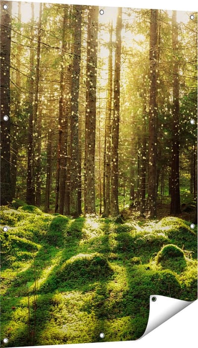 Gards Tuinposter Bos met Groen Mos op de Grond - 80x120 cm - Tuindoek - Tuindecoratie - Wanddecoratie buiten - Tuinschilderij
