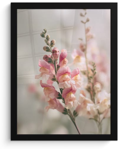 Poster in lijst - Fotolijst 30x40 cm - Posters - Bloem - Leeuwenbek - Roze - Stengel - Posterlijst zwart - Decoratie - Wanddecoratie woonkamer - Muurdecoratie slaapkamer
