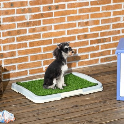 MEUNIQ Hondentoilet met kunstgras 63 x 48,5 x 6 cm, herbruikbare welpentoilet met opvangbak voor binnen en buiten, groen wit
