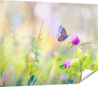 Gards Tuinposter Blauwe Vlinder bij een Paarse Bloem - 120x90 cm - Tuindoek - Tuindecoratie - Wanddecoratie buiten - Tuinschilderij