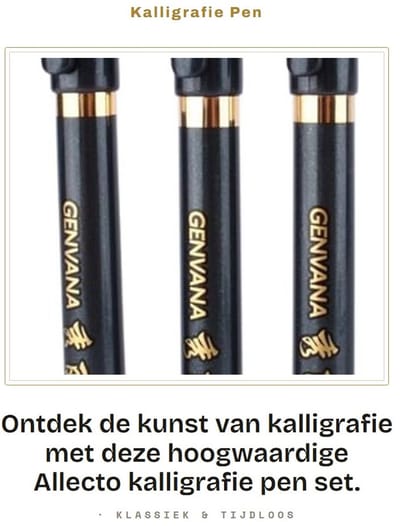 Dailygoods- Kalligrafiepen 3 Stuks - Kalligrafiepennen - Hoogwaardig Materiaal - Ergonomisch Ontwerp - Lichtgewicht - Gemengd Haar - Schrijfgerei