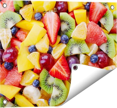 Gards Tuinposter Diverse Kleurrijke Fruit Achtergrond - 50x40 cm - Tuindoek - Tuindecoratie - Wanddecoratie buiten - Tuinschilderij