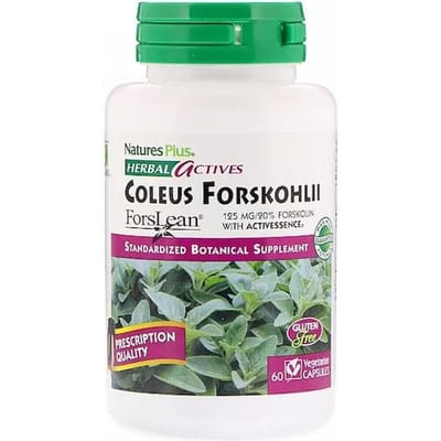 Nature's Plus- Herbal Actives, Coleus Forskohlii, 125 mg, 60 Vegetarische Capsules