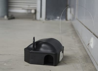 Voerdoos anker 35 CM