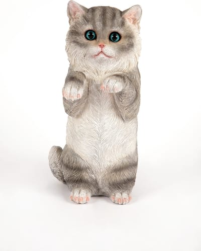 staande grijze kitten