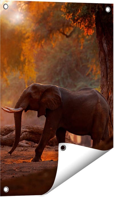 Gards Tuinposter Olifant in het Bos - 40x60 cm - Tuindoek - Tuindecoratie - Wanddecoratie buiten - Tuinschilderij