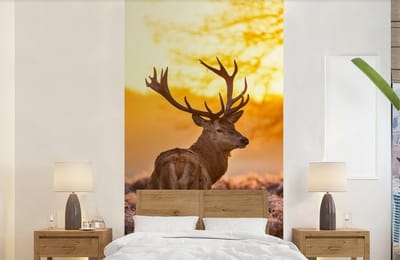 Behang - Fotobehang Hert - Dieren - Zonsondergang - Winter - Heide - Natuur - Breedte 120 cm x hoogte 240 cm