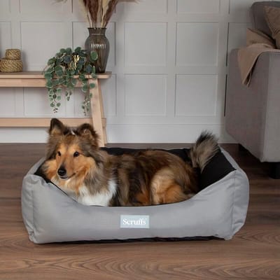 Hondenbox Bed - Hondenmand Reismand - Reizen met Huisdieren - Waterbestendige Buitenstof - 90 x 70 cm - Blauw