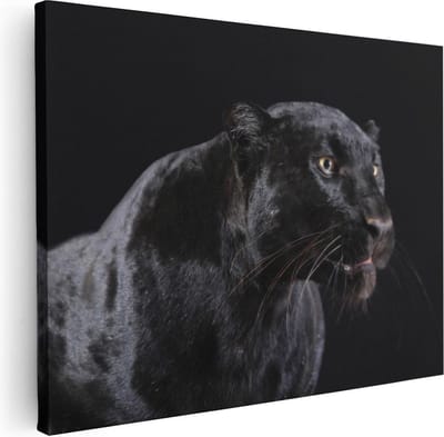 Artaza Canvas Schilderij Panter - 80x60 cm - Wanddecoratie Dieren - Muurdecoratie Zwarte Panter - Schilderijen Op Canvas