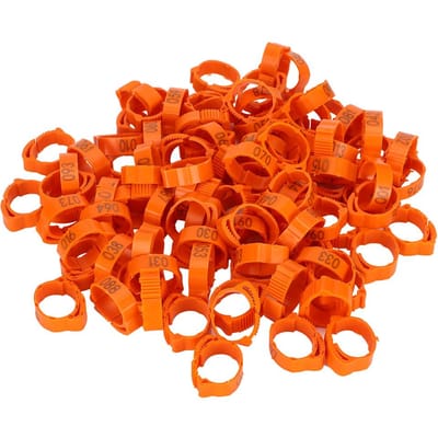 100pcs Bague de patte de volaille Poulet Canard Oiseau Bague à clip type boucle avec signe Fournitures d'alimentation Orange orange