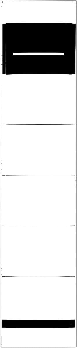 Set van 50 zelfklevende bestandslabels voor mappen - Smalle etiketten voor ordners, 3.5 x 19 cm, perfect voor 5 cm brede mappen, ideaal voor archivering en organisatie