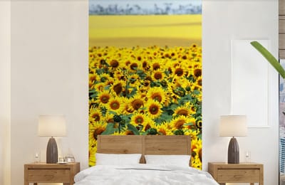 Behang - Fotobehang Zonnebloem - Bloemen - Natuur - Breedte 120 cm x hoogte 240 cm