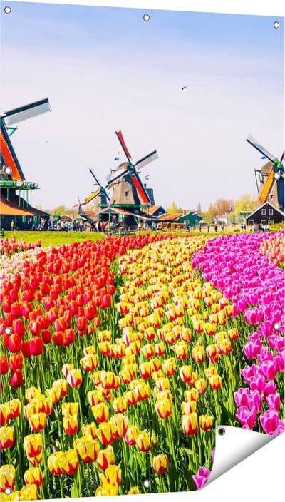 Gards Tuinposter Kleurrijke Tulpen Bloemenveld - Windmolen - 80x120 cm - Tuindoek - Tuindecoratie - Wanddecoratie buiten - Tuinschilderij