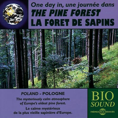 Various Artists - One Day In The Pine Forest (CD)