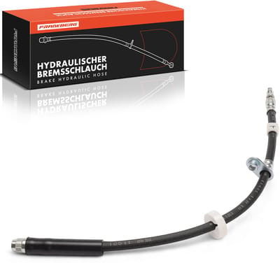 Frankberg 1x remslang voor L/R Citroën Jumpy Fiat Scudo Peugeot Expert