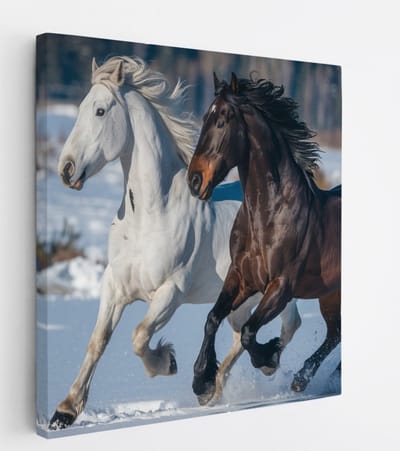 Saammp Canvas Schilderij - Paard - Dieren - Natuur - 20x20 - Foto op canvas - Wanddecoratie - muurdecoratie Woonkamer - Slaapkamer decoratie - Canvas Print