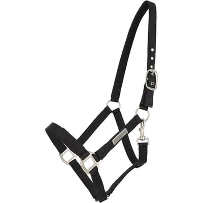 Halsband voor het aanspannen van een paard QHP