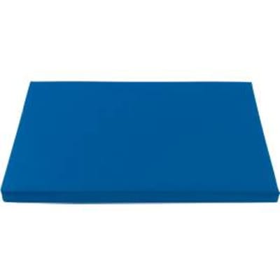 Zitkussen  voor deksels uit de Economy-serie - schuim - 400 x 300 mm - blauw - ons merk Schaefer Shop Pure