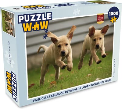 Puzzel Twee gele Labrador Retrievers lopen door het gras - Legpuzzel - Puzzel 1000 stukjes volwassenen