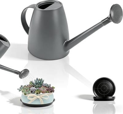 SnelShoppen - Kleine gieter 1,8 liter met lange schenktuit | Grijze kunststof gieter voor kamerplanten, balkon, vetplanten en potplanten + 10 zwarte b