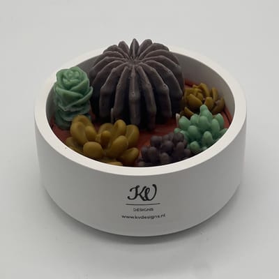 Kaars in glazen pot - cactus collectie - 787