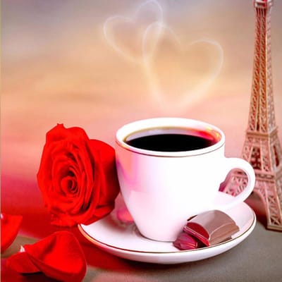 5D bricolage diamant peinture café Rose motif diamant broderie couture point de croix 30x30CM white