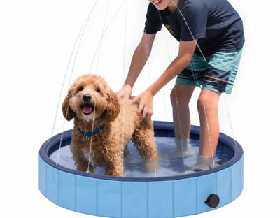 ECTEATOY® Hondenbadje Met Sproeier - Honden Badje - Hondenbad Opvouwbaar - Antislip En Slijtvast PVC, Ø80x20 cm - lichtblauw
