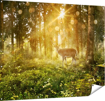 Gards Tuinposter Hert in Bos met Zon - 150x120 cm - Tuindoek - Tuindecoratie - Wanddecoratie buiten - Tuinschilderij