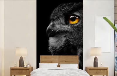 Behang - Fotobehang Uil - Vogel - Zwart - Portret - Breedte 120 cm x hoogte 240 cm