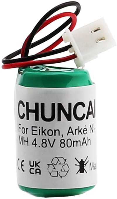 Dailygoody - Vervangende batterij - Oplaadbare Ni-MH - Compact formaat - Voor Eikon en Arké - 4,8 V 80 mAh - Geschikt voor zaklampen