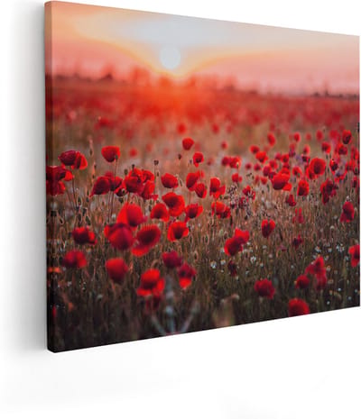 Artaza Canvas Schilderij Klaprozen - 100x80 cm - Groot - Wanddecoratie Bloemen - Muurdecoratie Zonsondergang - Decoratie Veld
