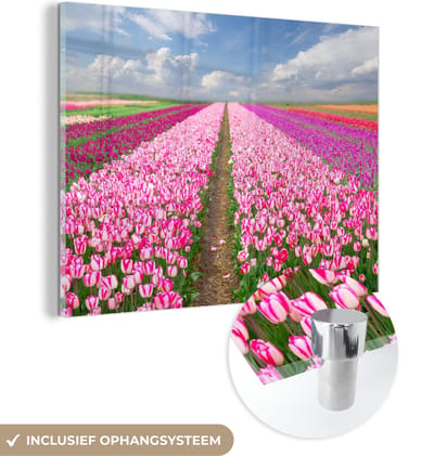 MuchoWow® Glasschilderij 40x30 cm - Schilderij acrylglas - Tulpen - Zon - Lente - Foto op glas - Schilderijen
