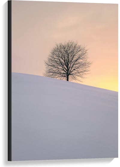 Canvas  - Boom achter een Berg Sneeuw  - 60x90cm Foto op Canvas Schilderij (Wanddecoratie op Canvas)