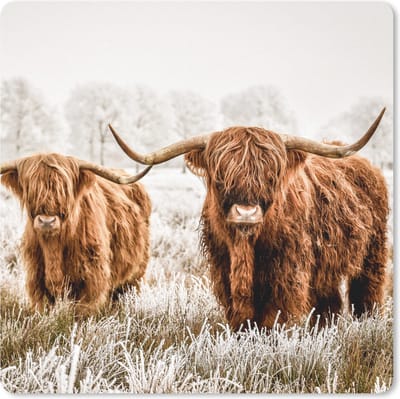 Muismat 20x20 cm - Mousepad Schotse hooglander - Koe - Dieren - Muismatten