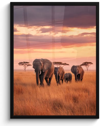 Poster in lijst - Fotolijst 60x80 cm - Posters - Groep olifanten - Open vlakte - Zon - Posterlijst zwart - Decoratie - Wanddecoratie woonkamer - Muurdecoratie slaapkamer
