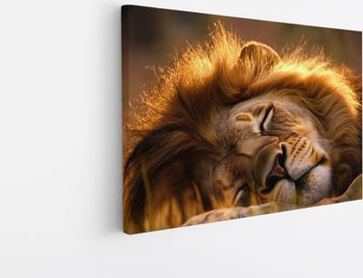 Saammp Canvas Schilderij - Slapende Leeuw in zonsondergang - Dieren - Natuur - 45x30 - Foto op canvas - Wanddecoratie - Muurdecoratie Woonkamer - Slaapkamer decoratie - Canvas Print