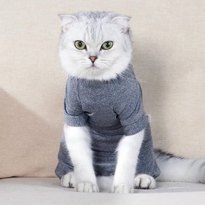 Costume de récupération pour animaux de compagnie, veste à quatre pattes pour plaies abdominales pour chats Medium