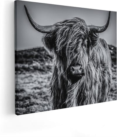 Artaza Canvas Schilderij Hooglander - 50x40 cm - Schilderijen Dieren - Muurdecoratie Woonkamer - Schilderijen Op Canvas
